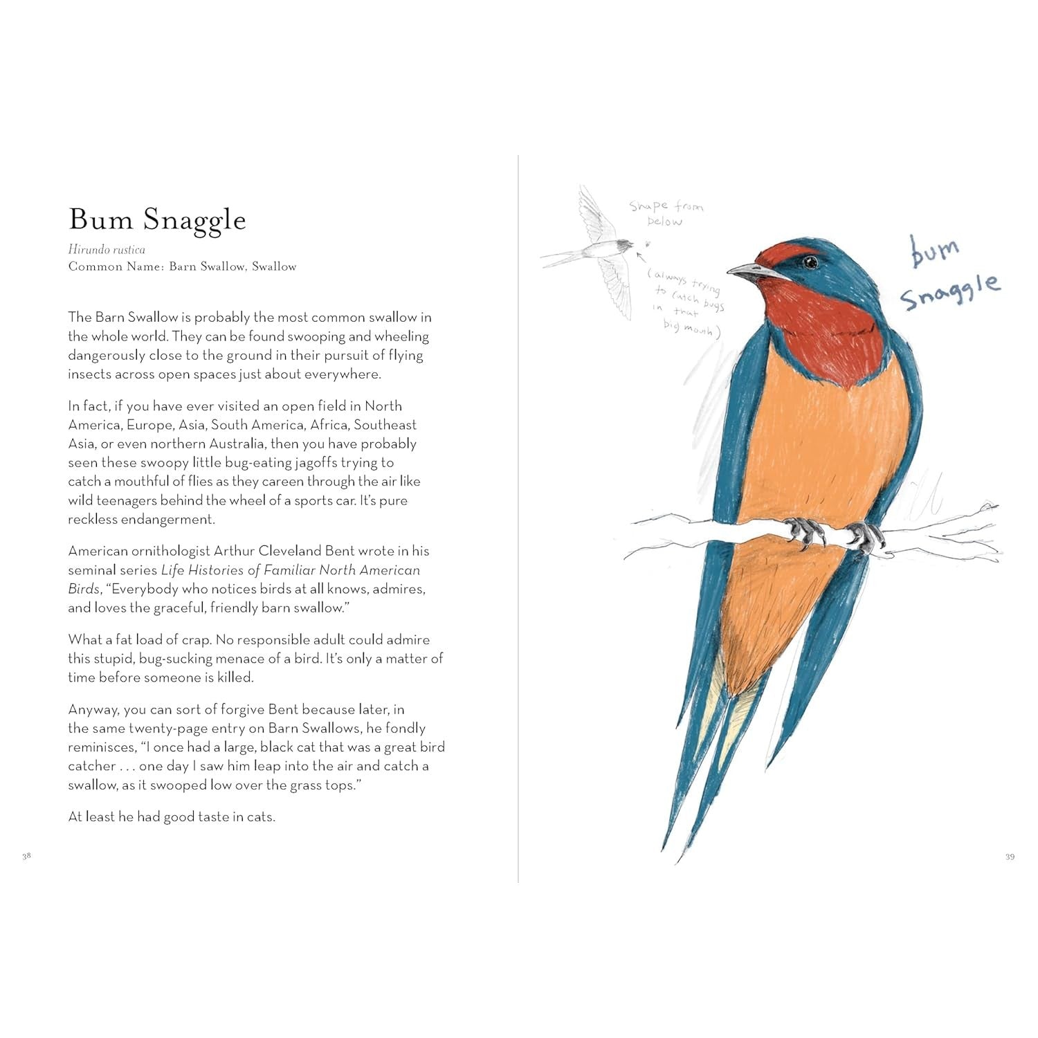A Dumb Birds Field Guide to the Worst Birds Ever