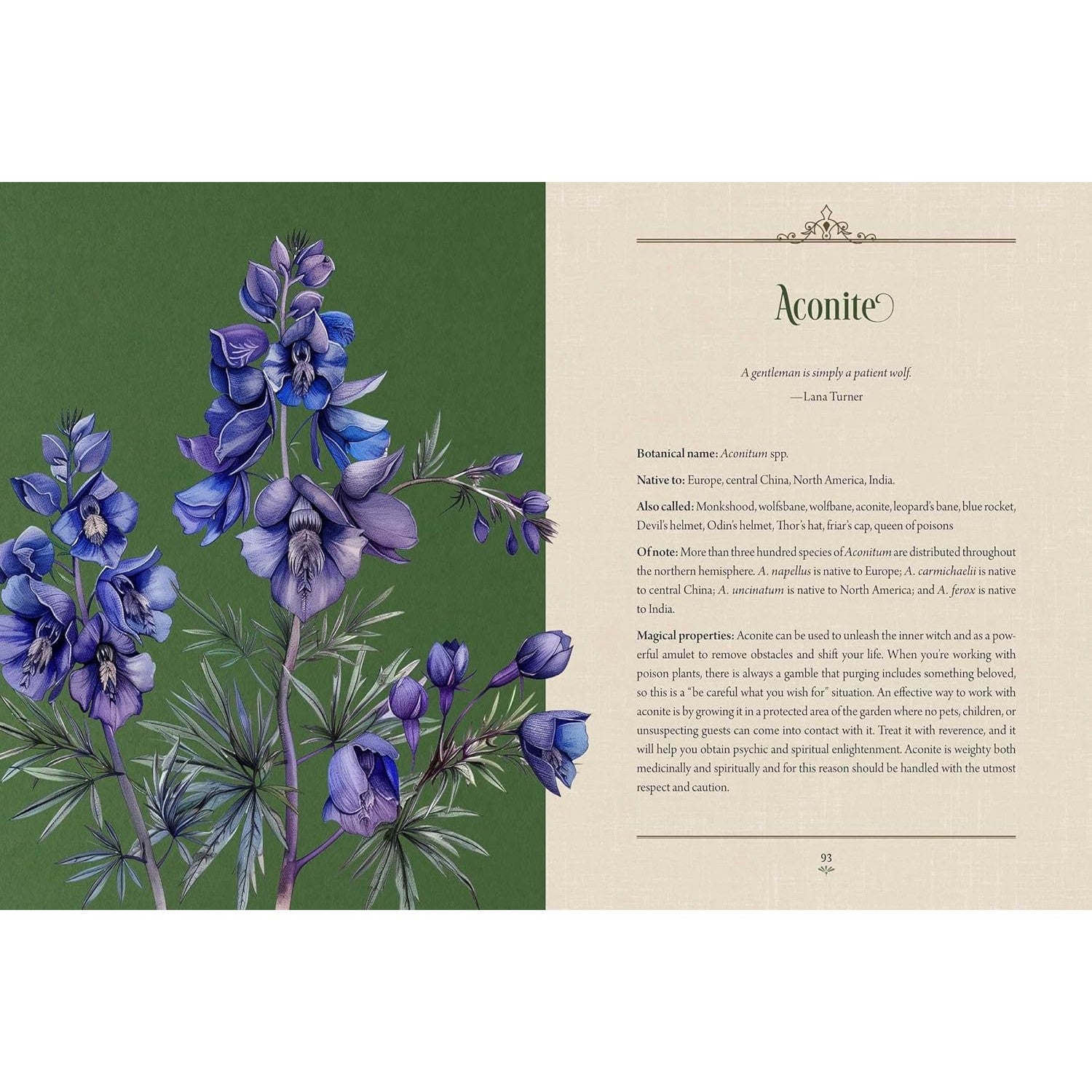 Enchanted Plants: A Treasury of Botanical Folklore and Magic