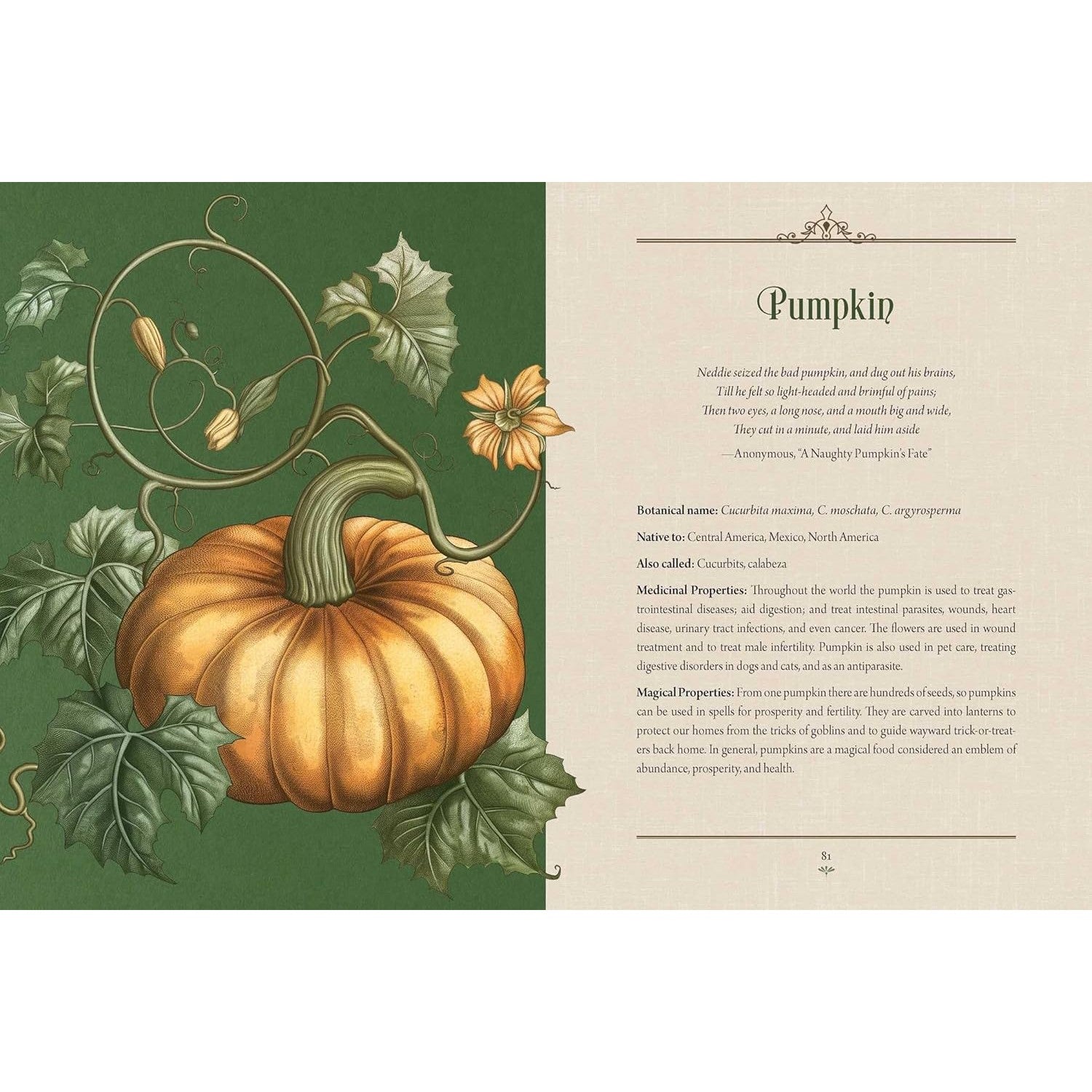 Enchanted Plants: A Treasury of Botanical Folklore and Magic