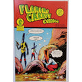 Flaming Carrot Comics #21