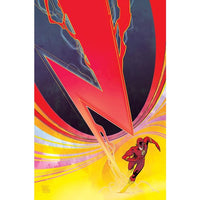 Flash #8