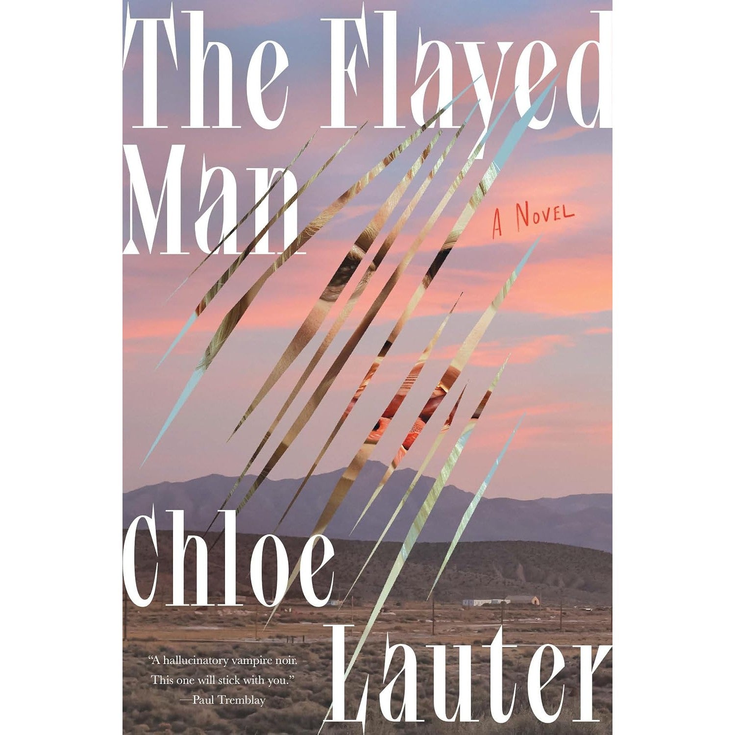 Flayed Man: A Novel