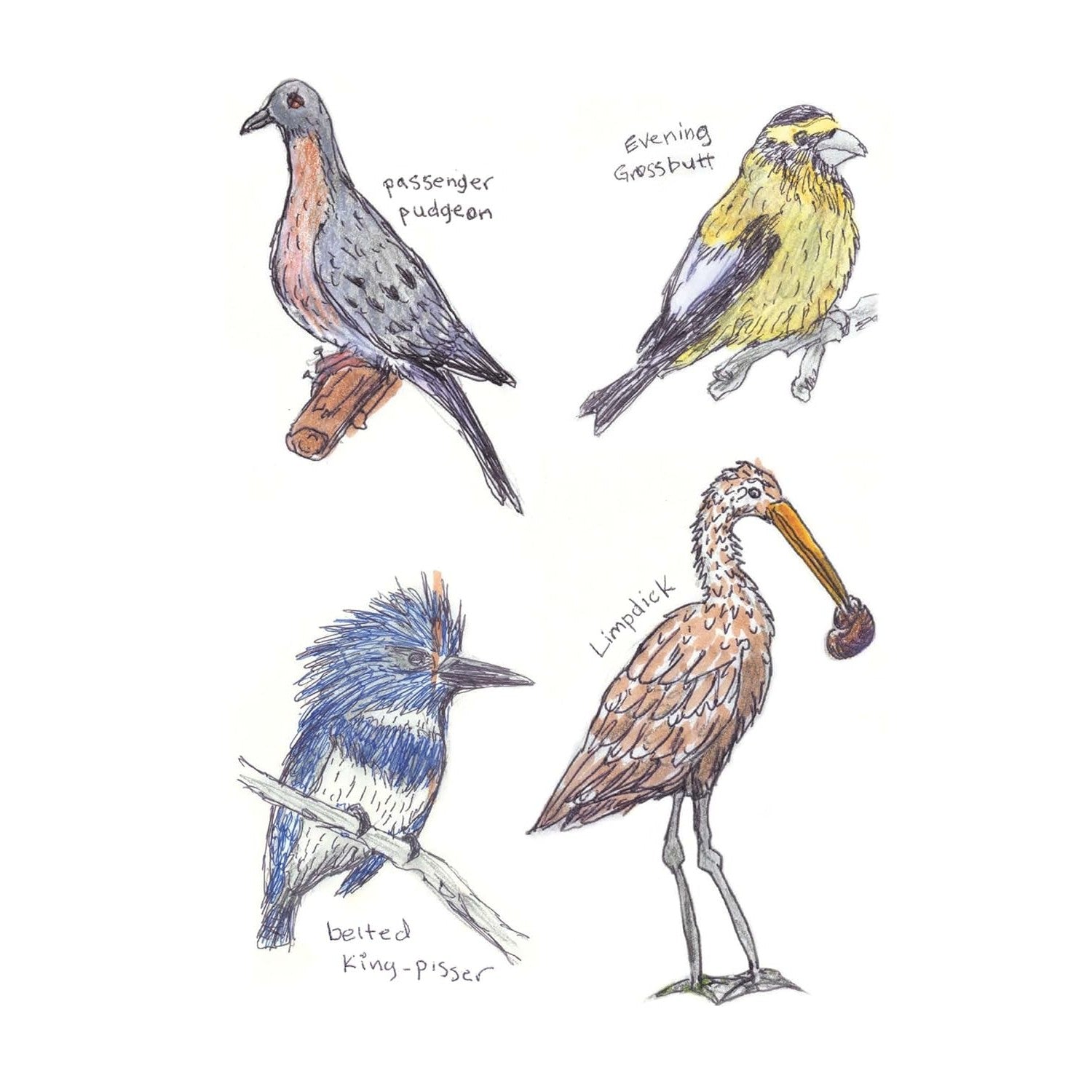 The Field Guide to Dumb Birds Sticker Book: 100+ Stickers of the Dumbest Birds