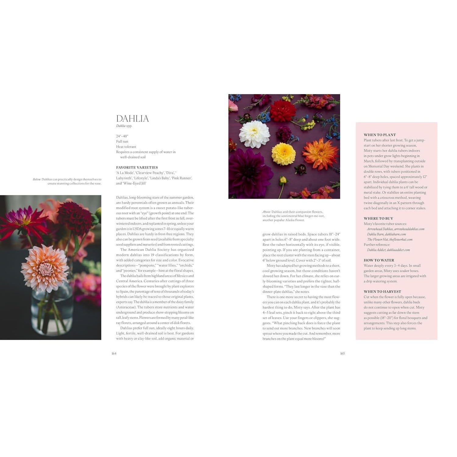 The Flower Farmers: Inspiration And Advice from Expert Growers