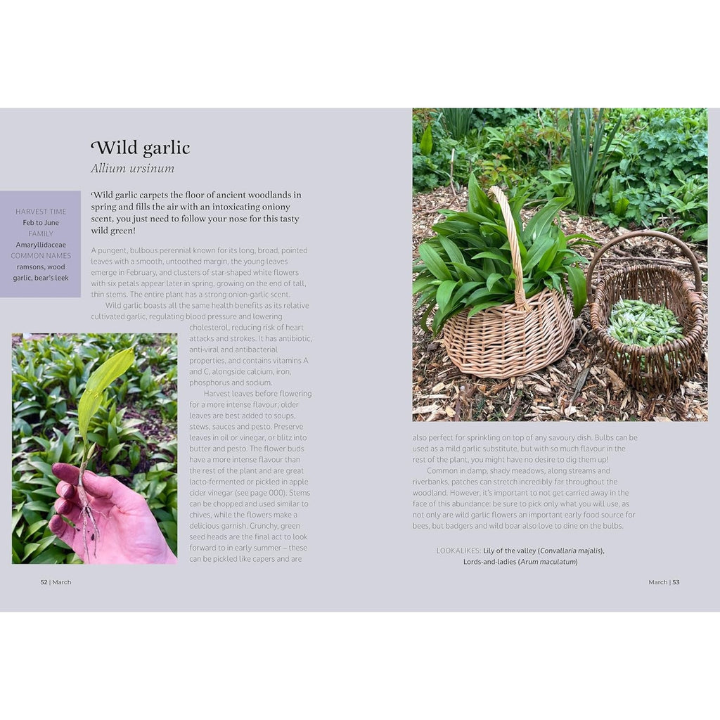 The Forager's Almanac