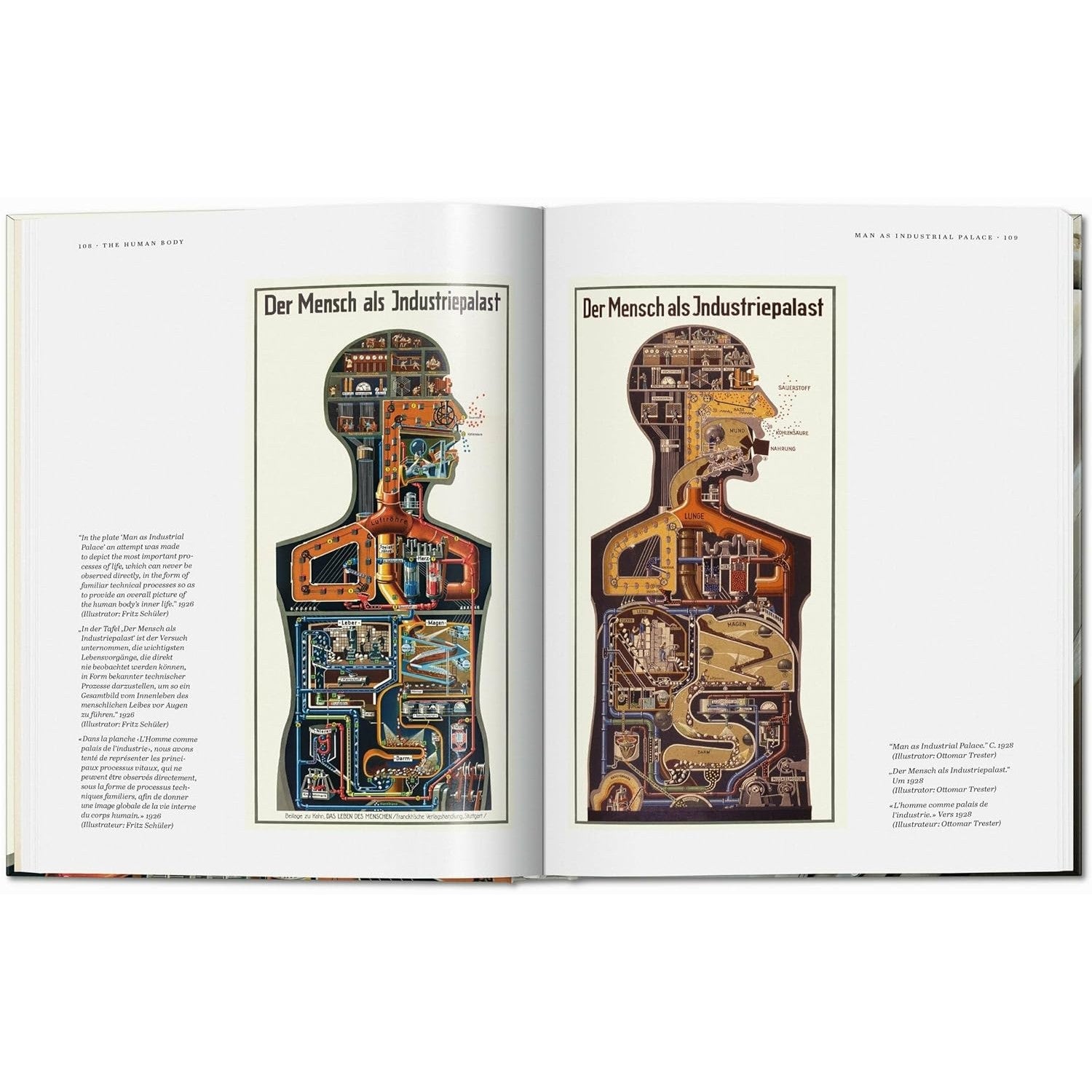 Fritz Kahn: Infographics Pioneer