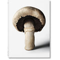 The Gourmand's Mushroom: A Collection of Stories and Recipes