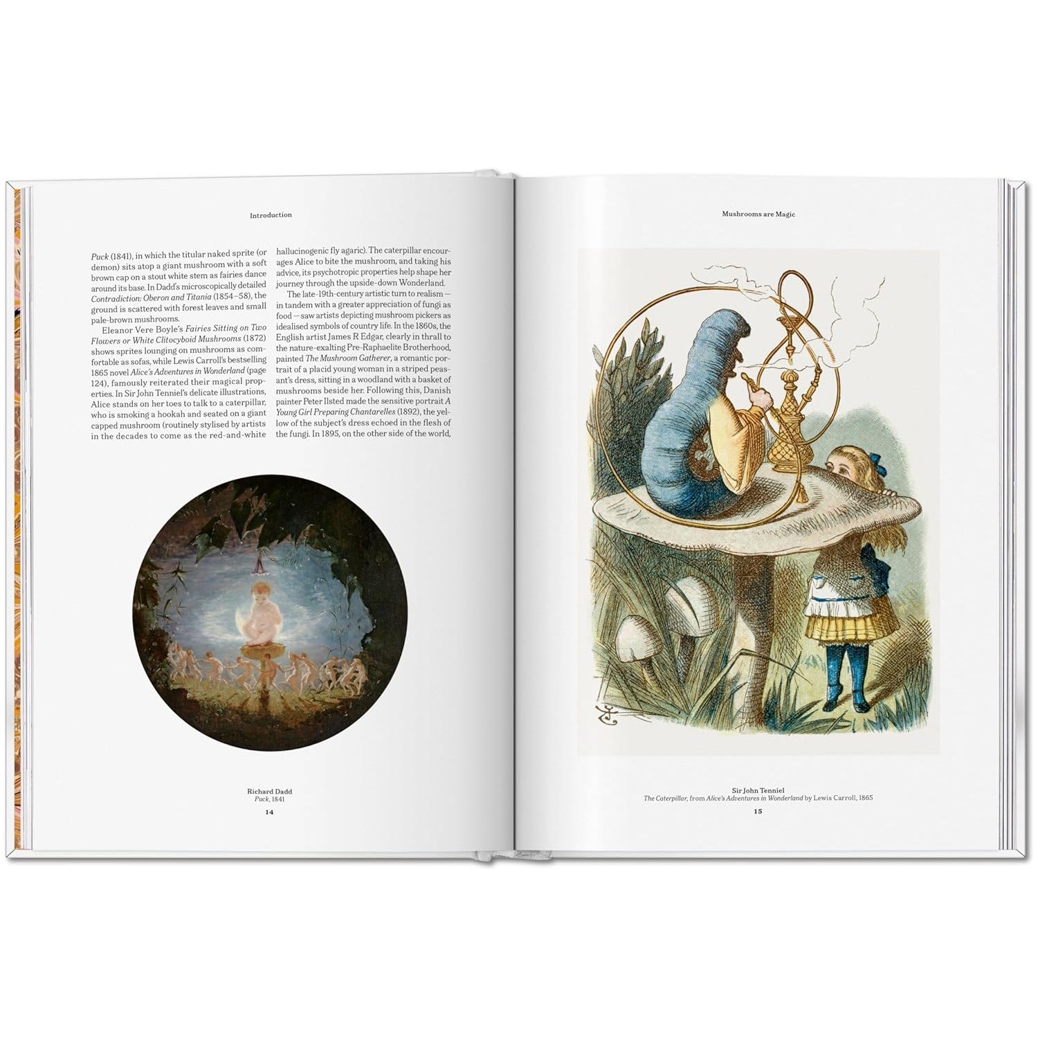 The Gourmand's Mushroom: A Collection of Stories and Recipes