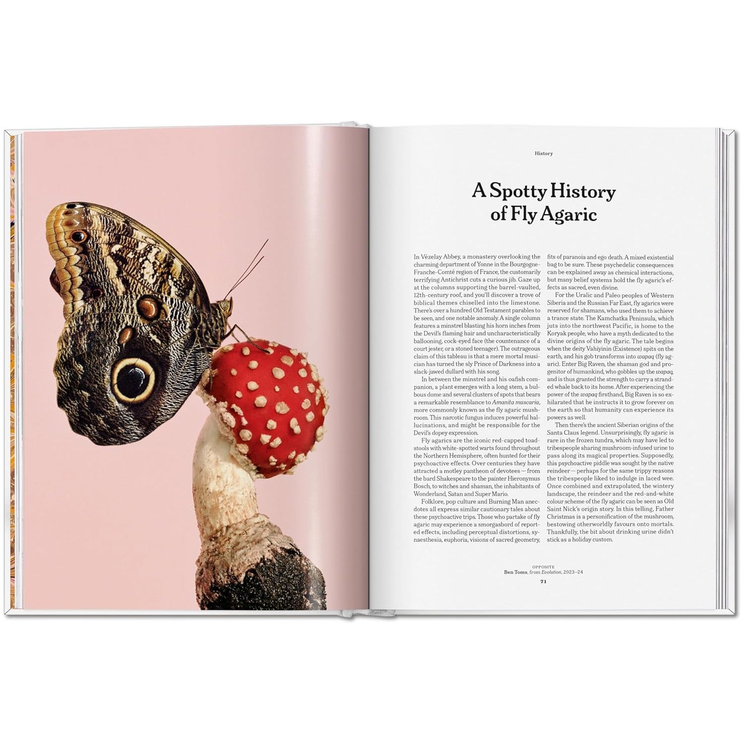 The Gourmand's Mushroom: A Collection of Stories and Recipes