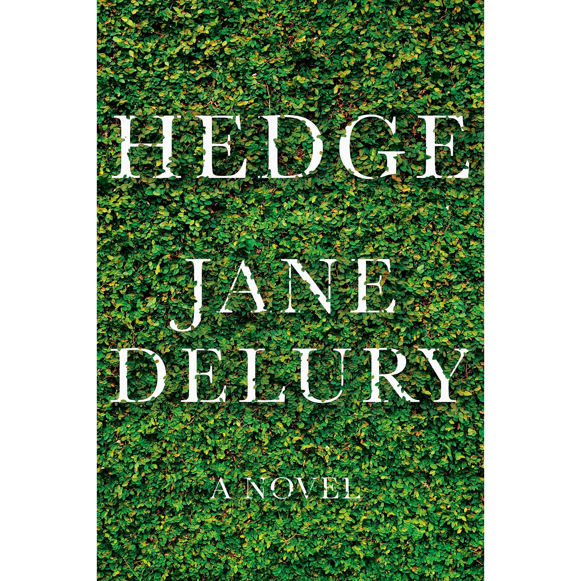 Hedge