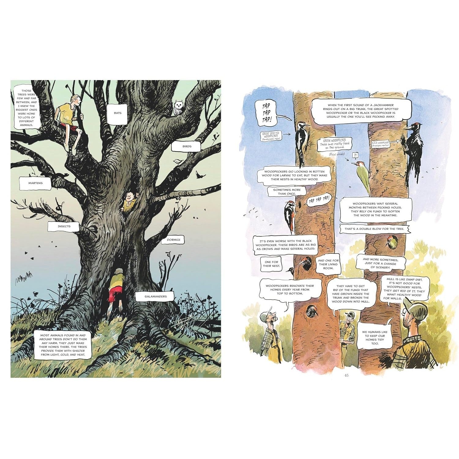 The Hidden Life of Trees: A Graphic Adaptation