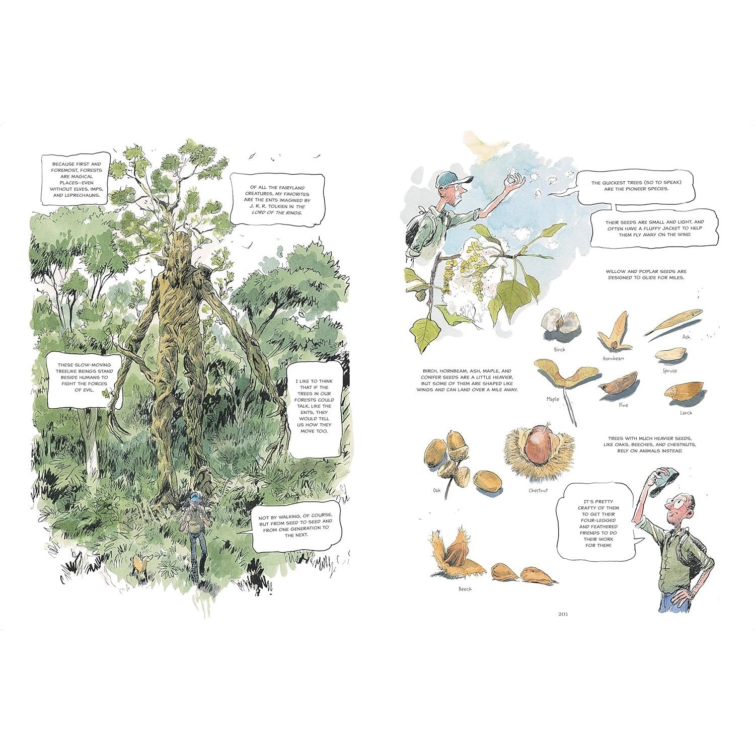 The Hidden Life of Trees: A Graphic Adaptation