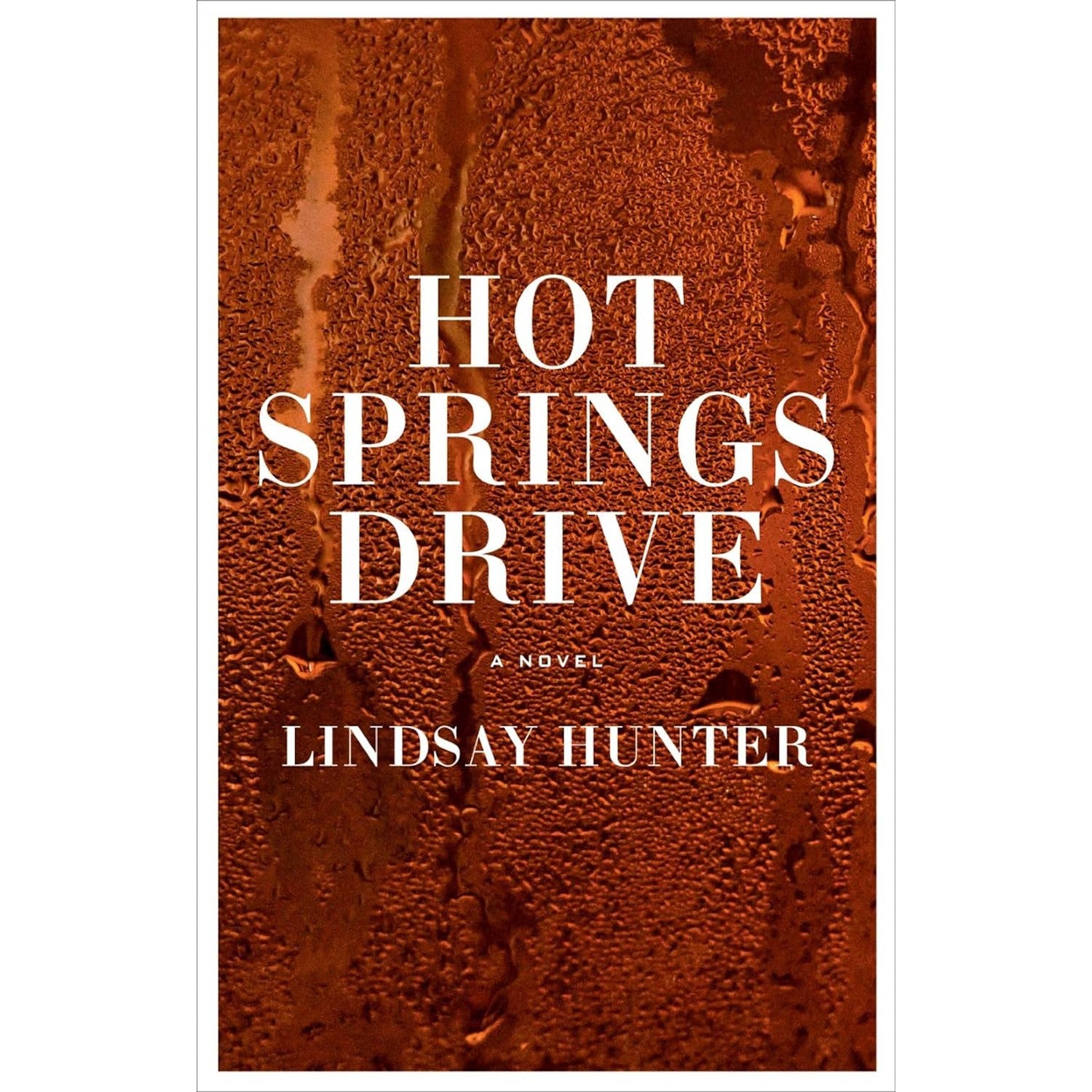 Hot Springs Drive: A Novel – Atomic Books