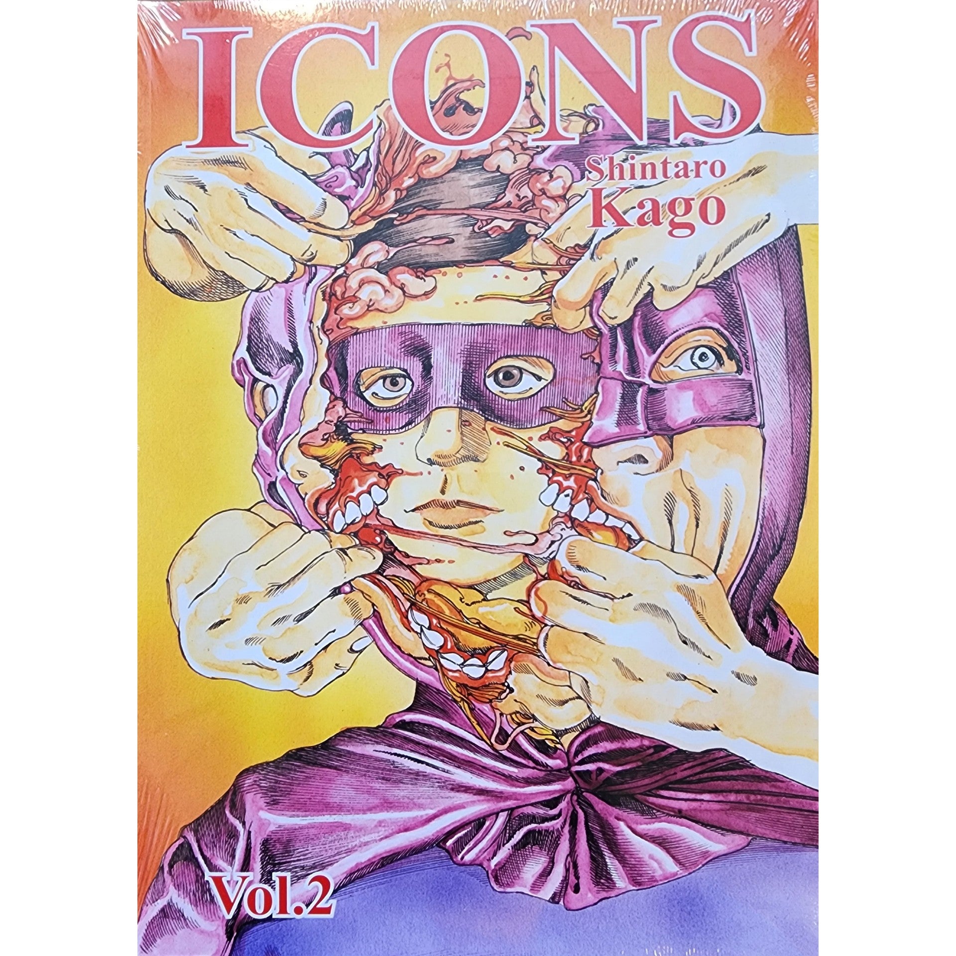 ICONS Volume 2