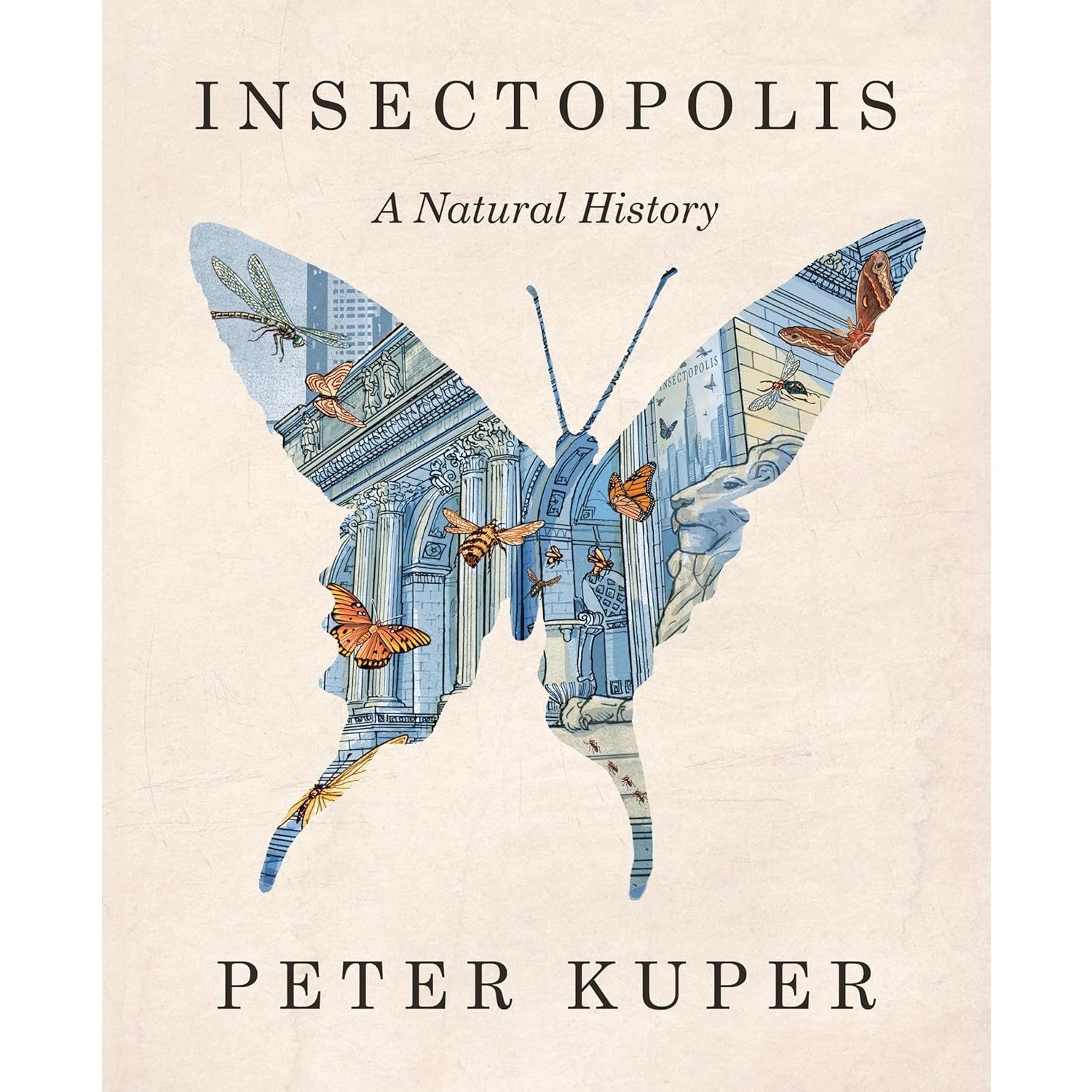 Insectopolis: A Natural History