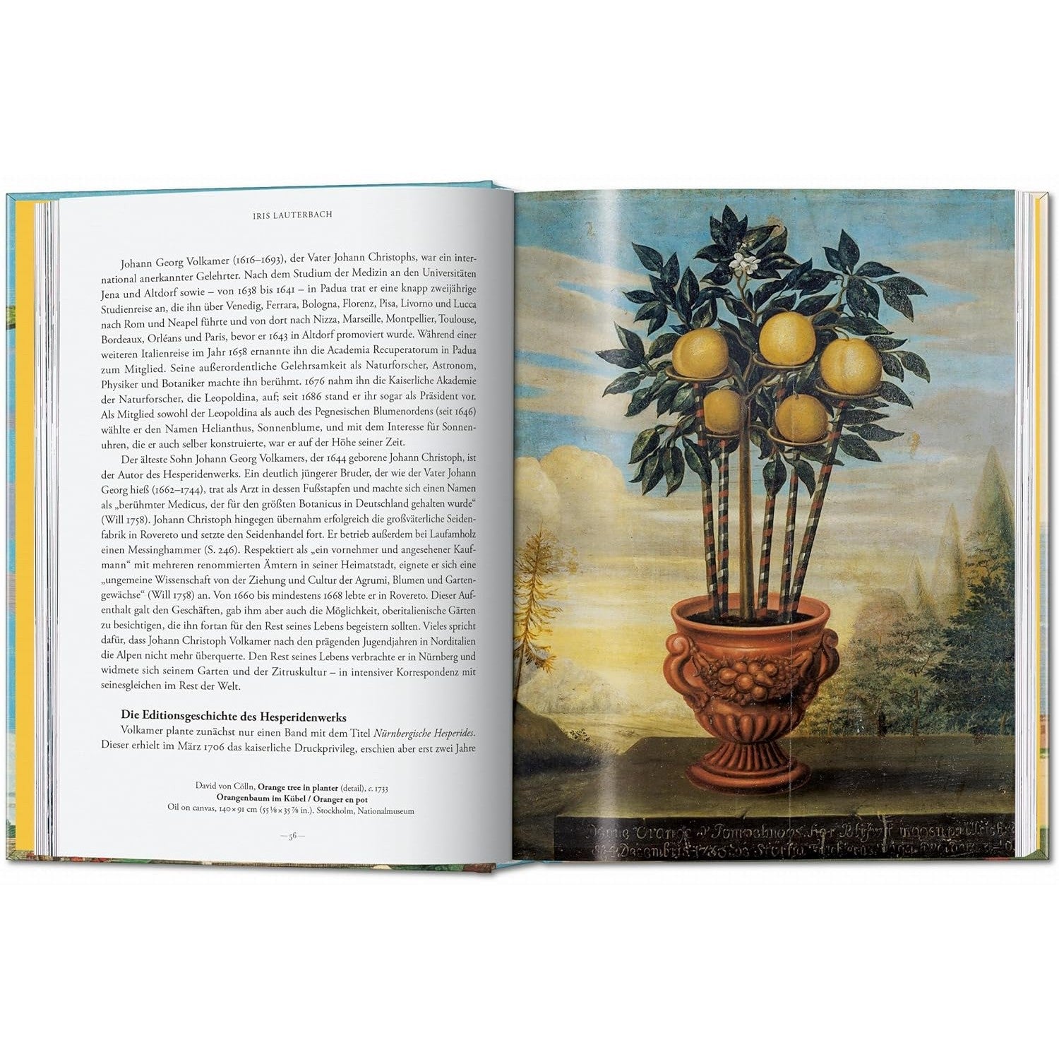 The Book of Citrus Fruits