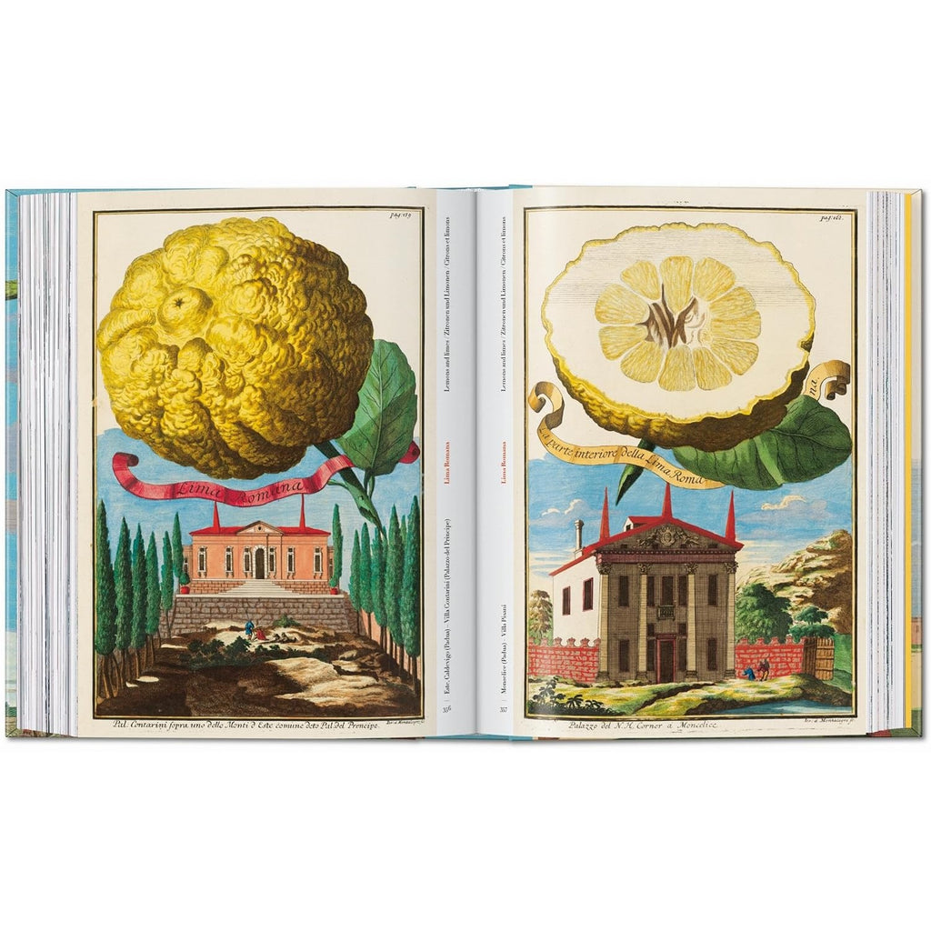 The Book of Citrus Fruits