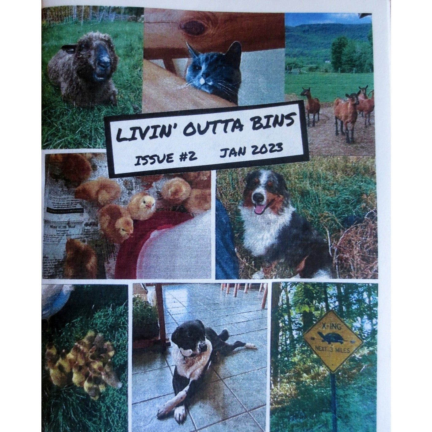 Livin' Outta Bins #2