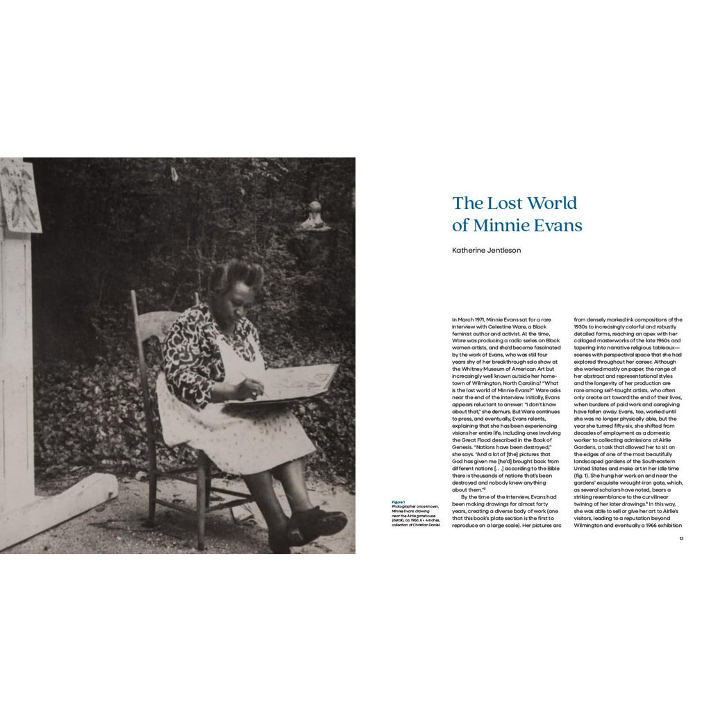 The Lost World: The Art of Minnie Evans