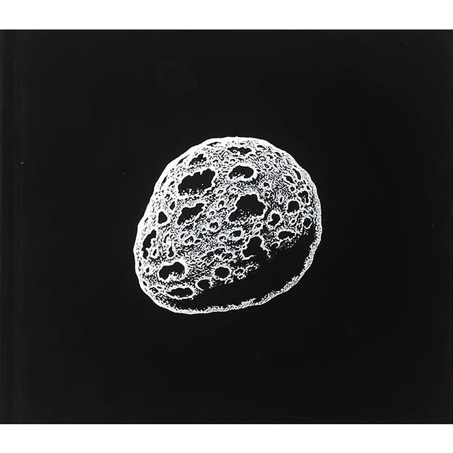 Love Nest