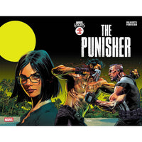 Marvel Knights: Punisher #2