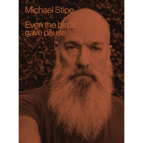 Michael Stipe: Even the Birds Gave Pause