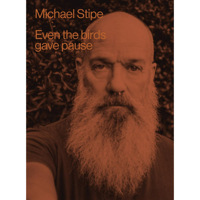 Michael Stipe: Even the Birds Gave Pause