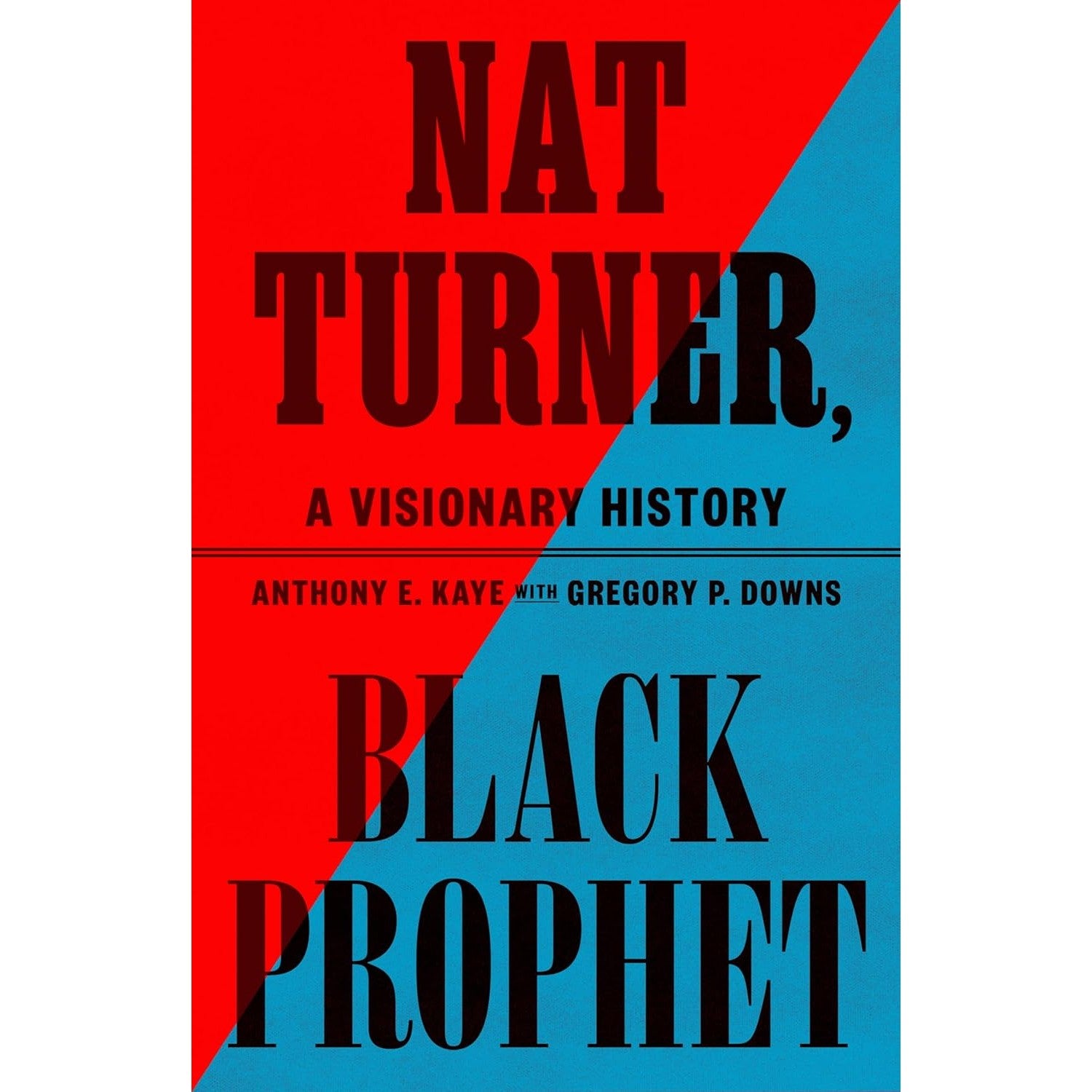 Nat Turner, Black Prophet: A Visionary History 