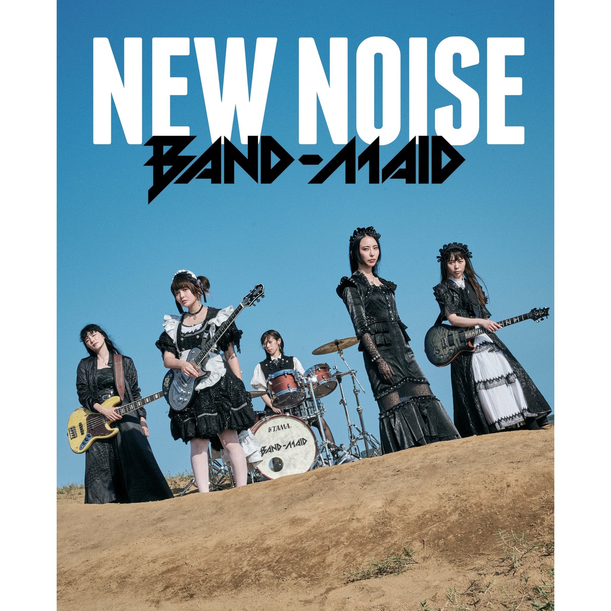 New Noise Magazine #79