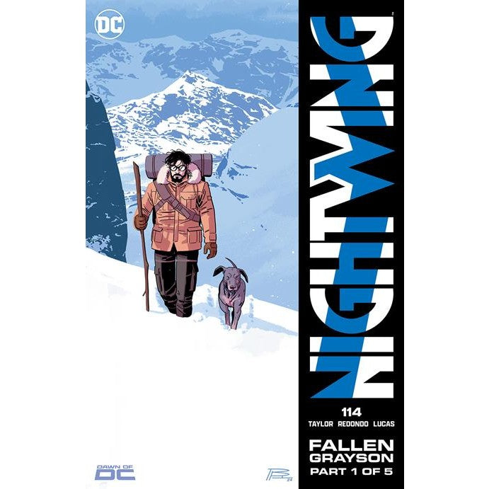 Nightwing #114 