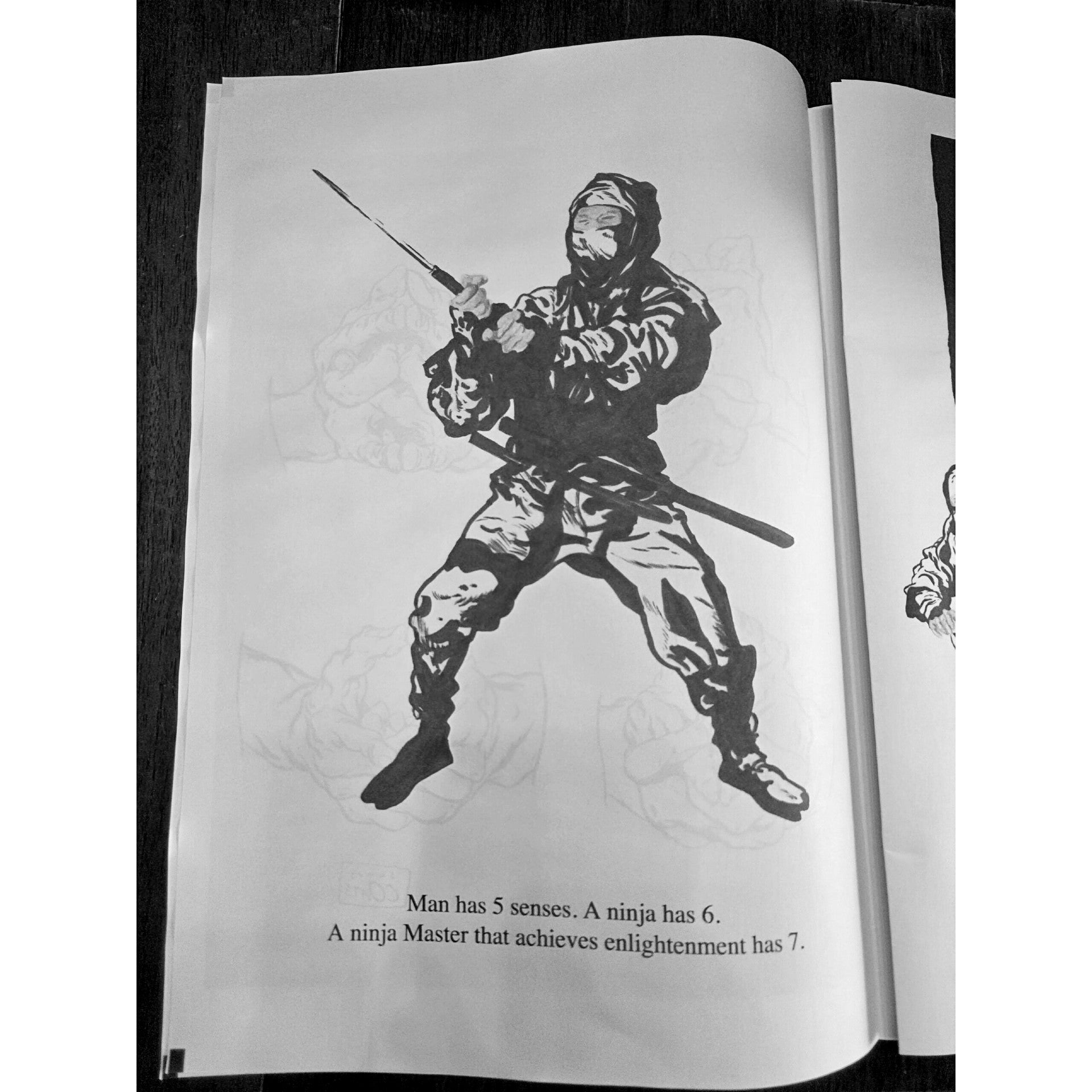 Ninja Zine