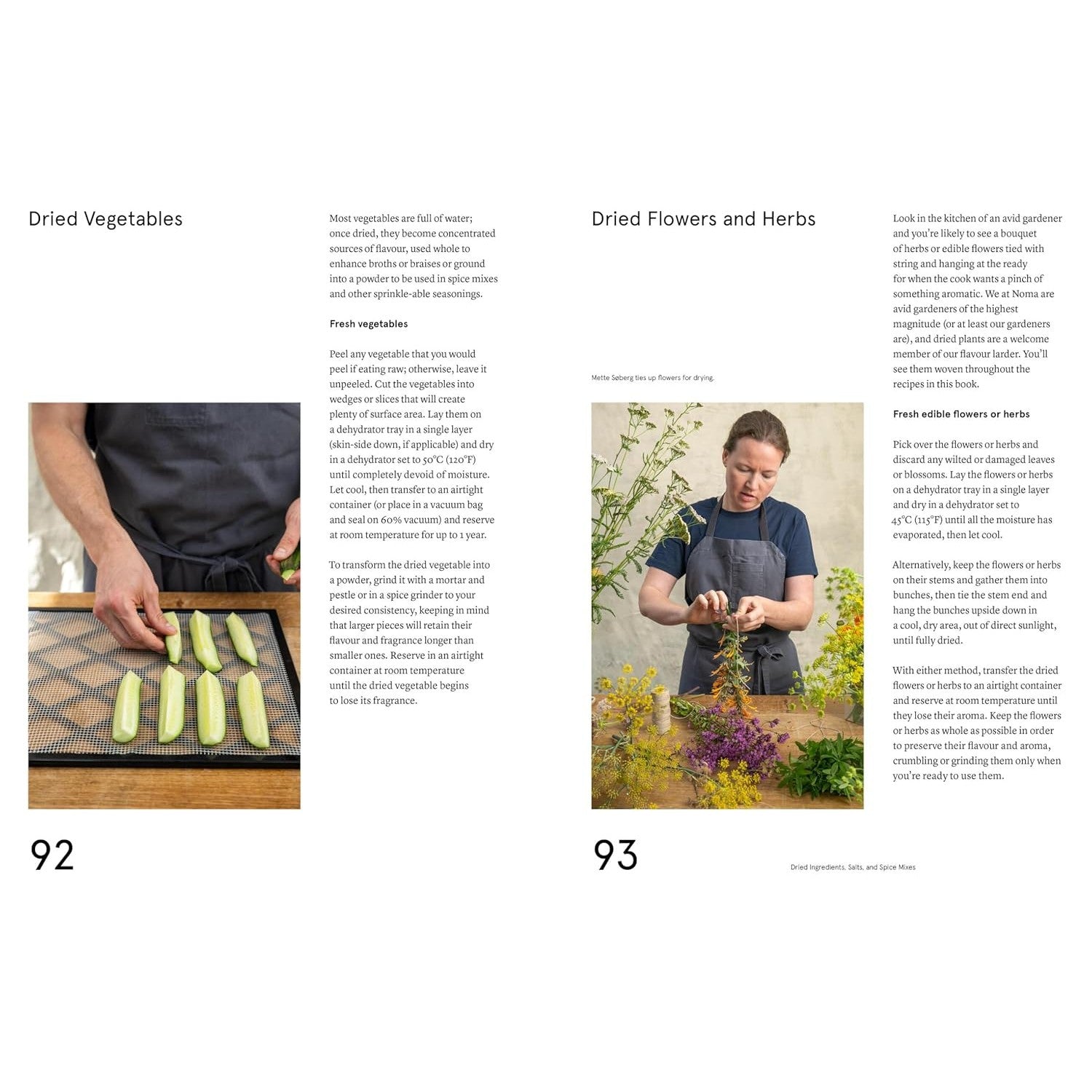 The Noma Guide to Building Flavour
