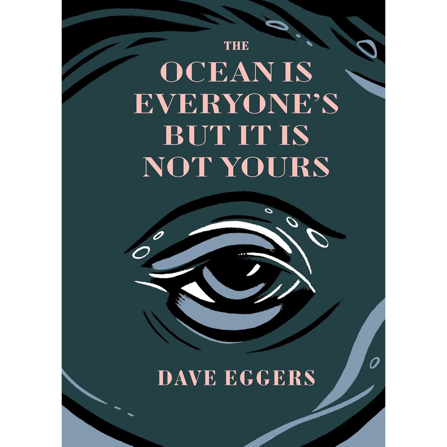 The Ocean is Everyone's But It Is Not Yours 