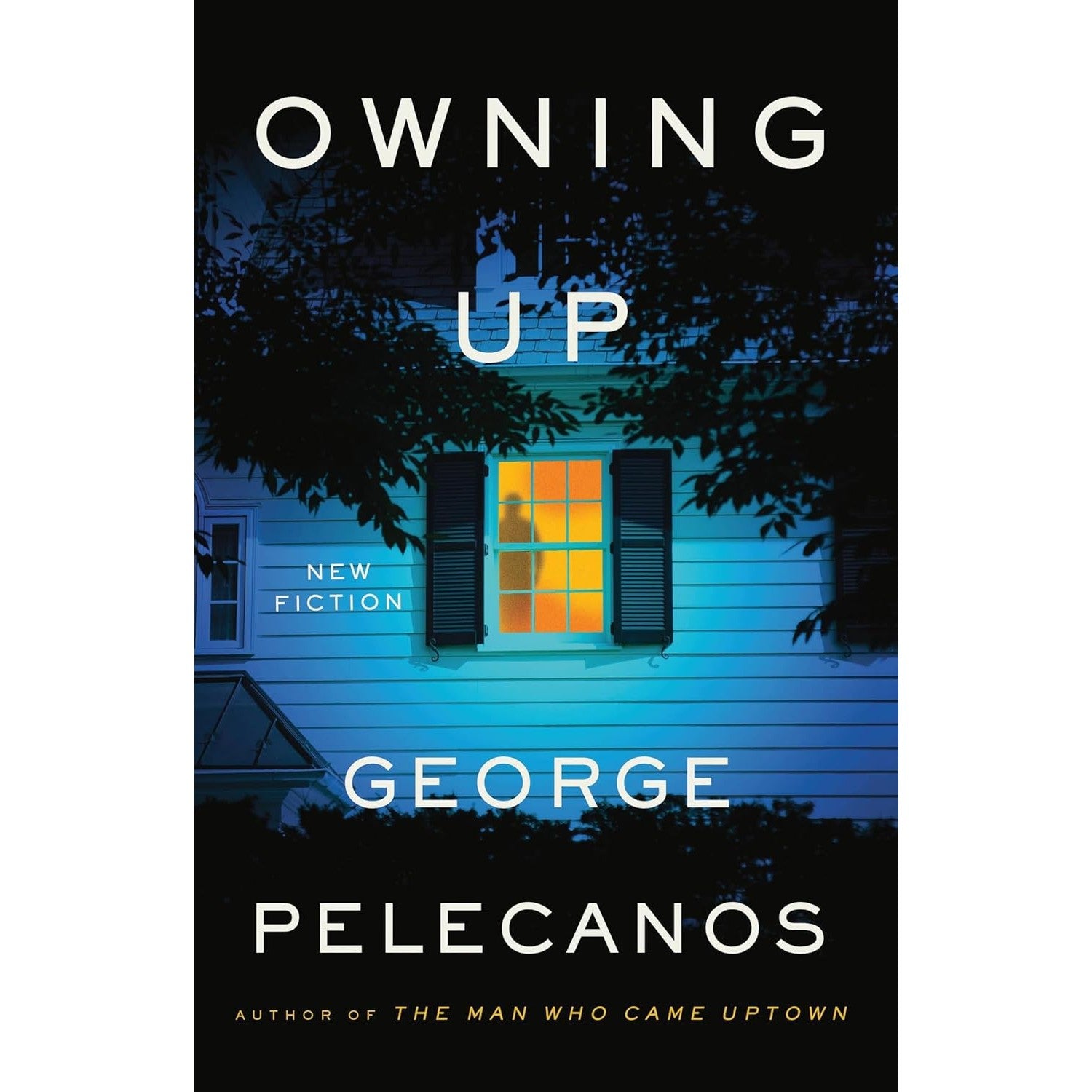 Owning Up: New Fiction