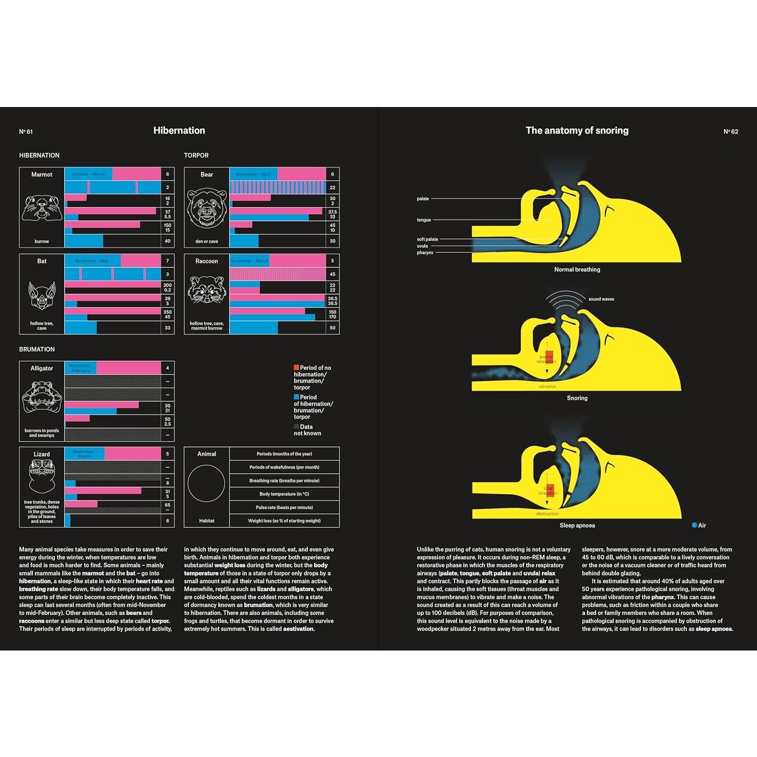 Phenomena: An Infographic Guide to Almost Everything
