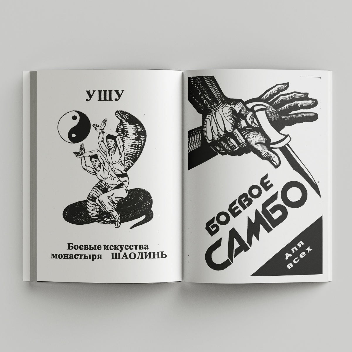 Post-Soviet Martial Arts illustrations