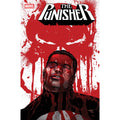 Punisher #6 