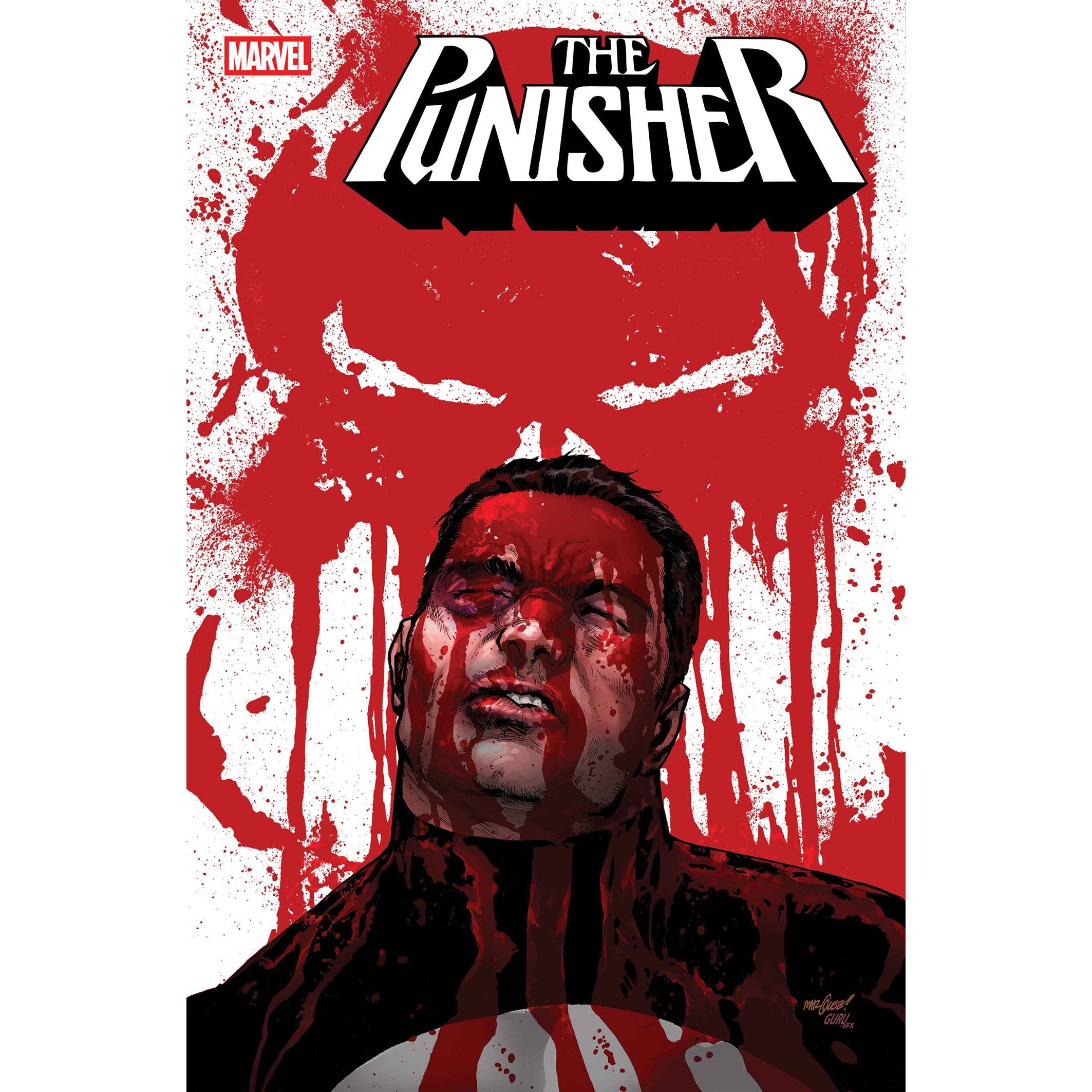 Punisher #6 