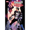 Punisher Vs. Spider-Man #1 