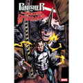 Punisher Vs. The Amazing Spider-Man #3