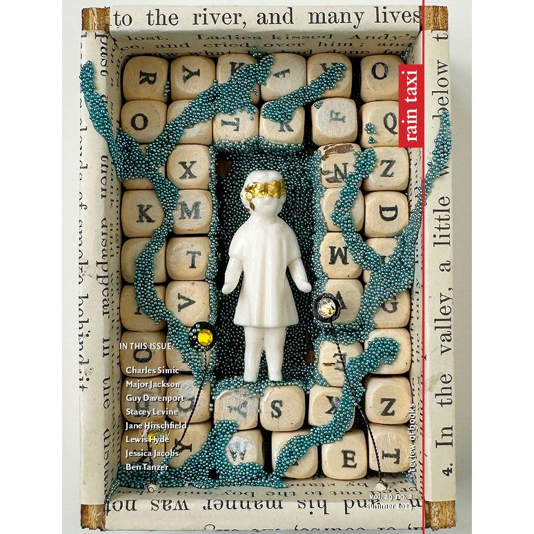 Rain Taxi #2 (Vol. 29)