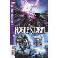 Rogue Storm #2 