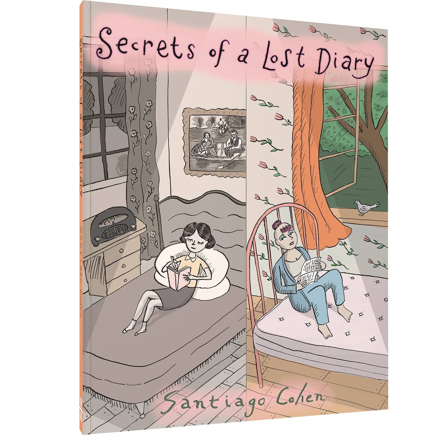 Secrets Of A Lost Diary