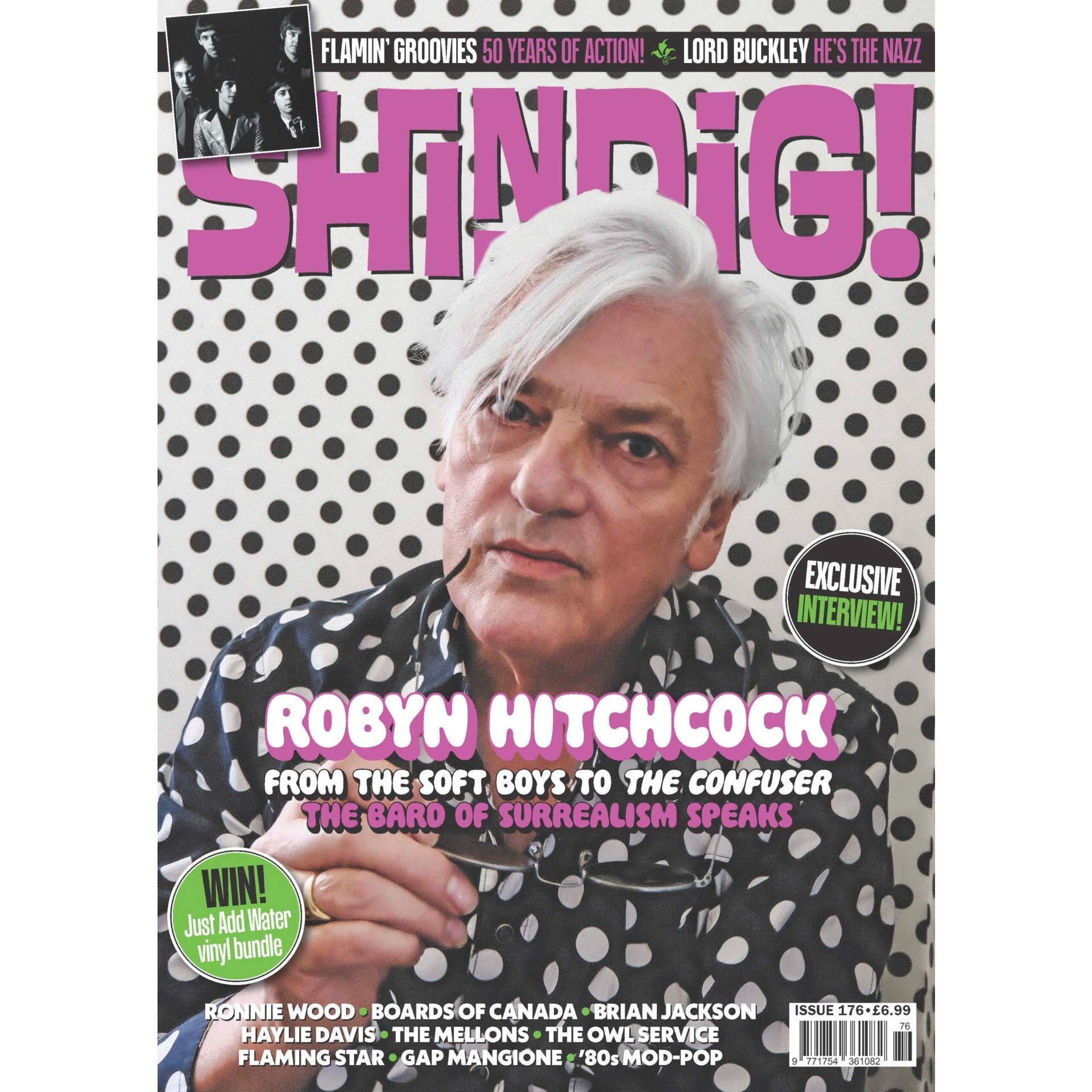 Shindig! Magazine #176