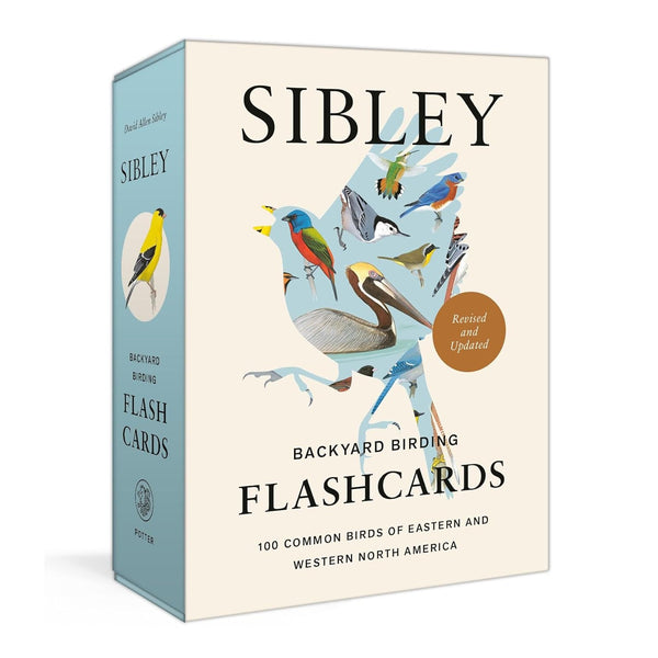 Sibley Backyard Birding Flashcards: 100 Common Birds of Eastern and Western North America