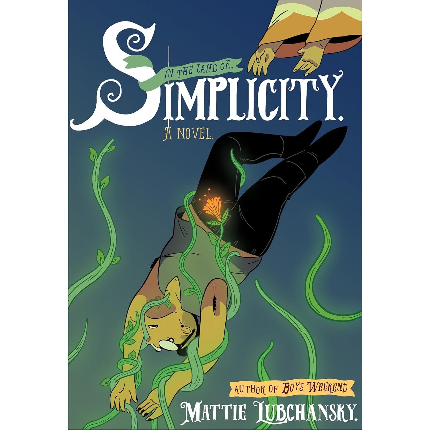 Simplicity: A Novel