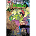 Spider-Man / Hulk: Fire And Brimstone #1