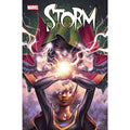 Storm #4