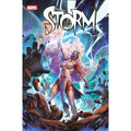 Storm #9 