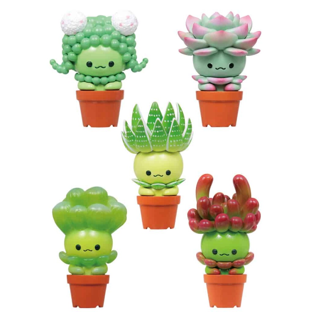 Succulent Friends Blindbox